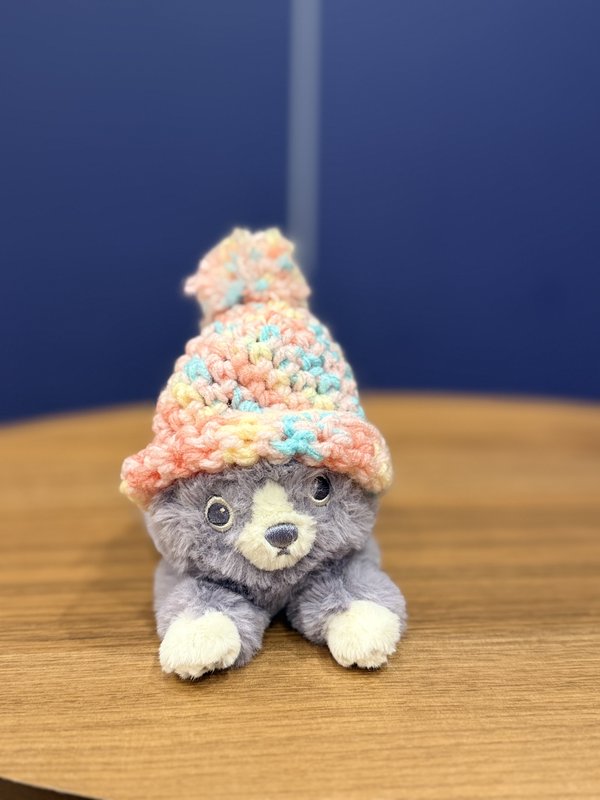 Stuffed animal wearing crocheted hat
